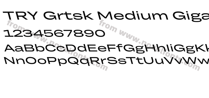 TRY Grtsk Medium Giga BackslantPreview