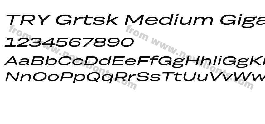 TRY Grtsk Medium Giga SlantPreview