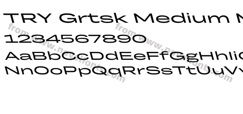 TRY Grtsk Medium Mega BackslantPreview