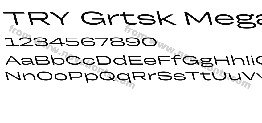 TRY Grtsk Mega BackslantPreview