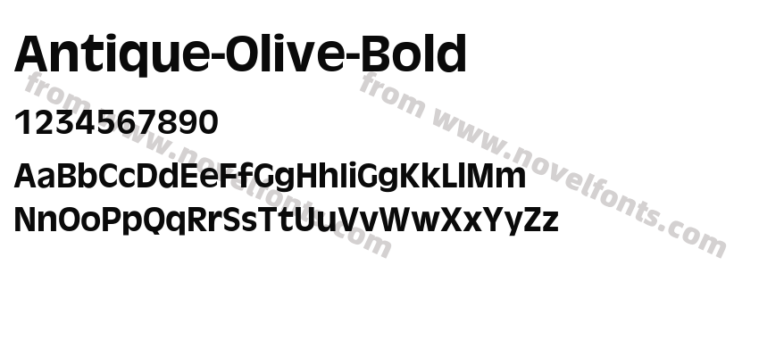 Antique-Olive-BoldPreview