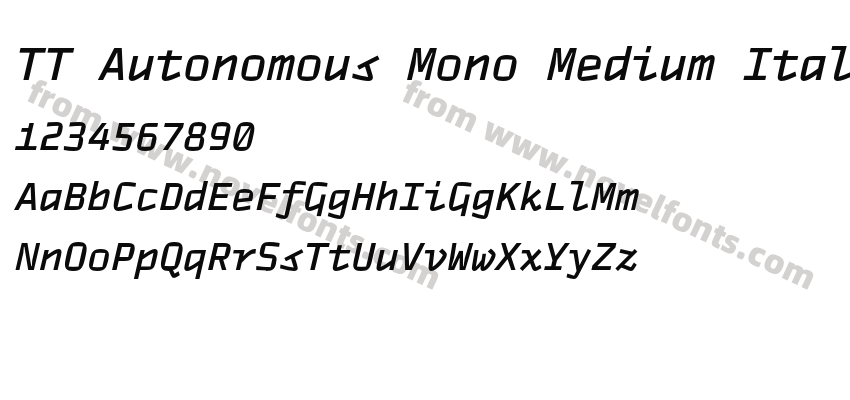 TT Autonomous Mono Medium ItalicPreview