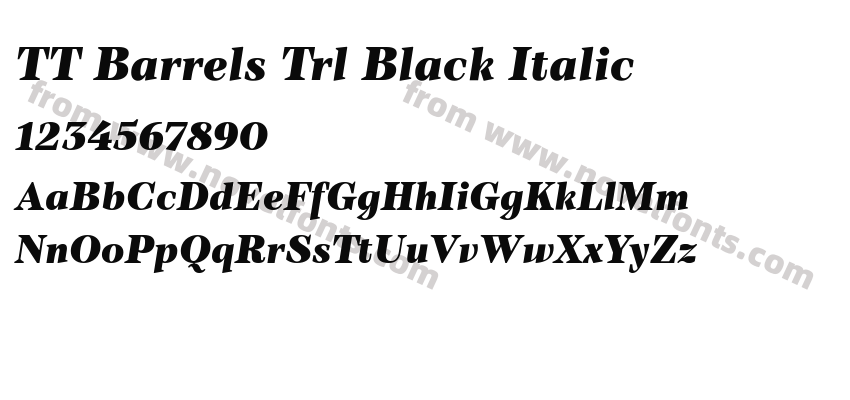 TT Barrels Trl Black ItalicPreview