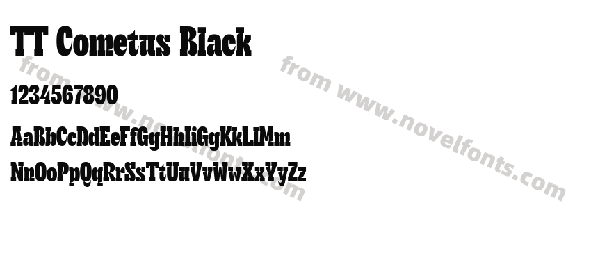 TT Cometus BlackPreview