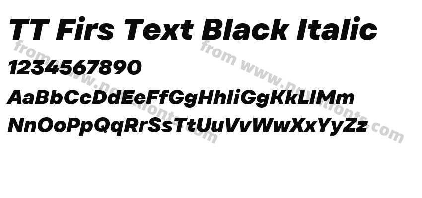 TT Firs Text Black ItalicPreview