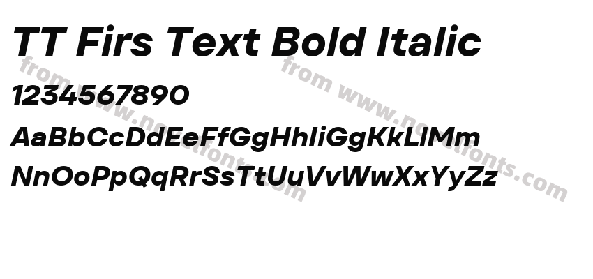 TT Firs Text Bold ItalicPreview