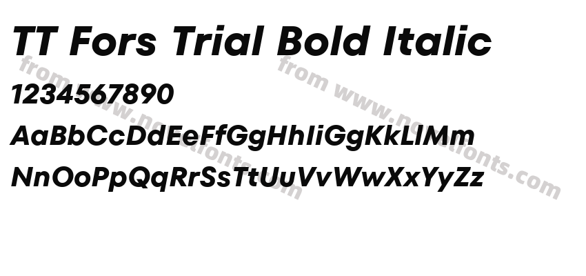 TT Fors Trial Bold ItalicPreview