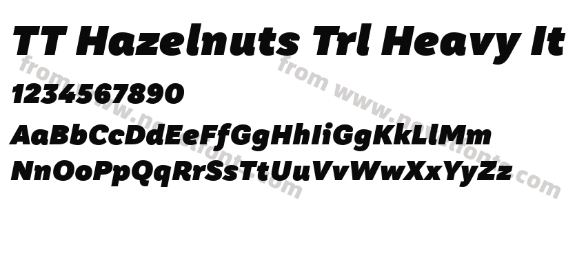 TT Hazelnuts Trl Heavy ItPreview