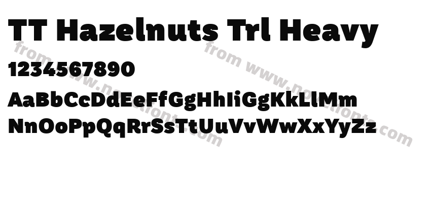 TT Hazelnuts Trl HeavyPreview