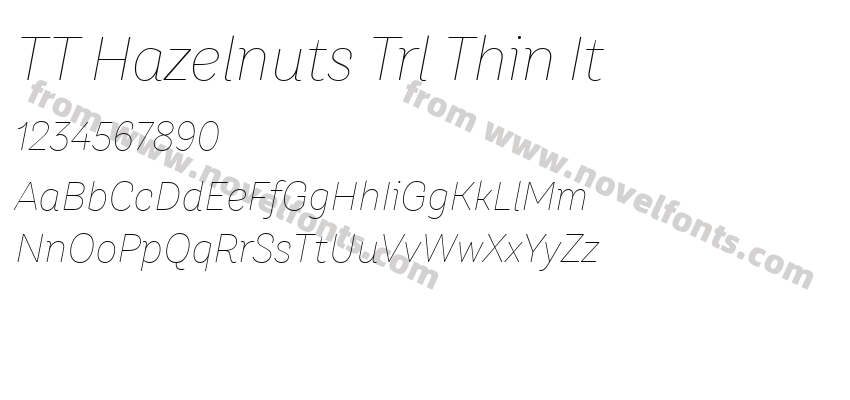 TT Hazelnuts Trl Thin ItPreview