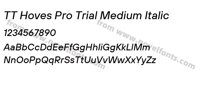 TT Hoves Pro Trial Medium ItalicPreview