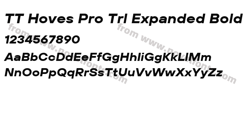 TT Hoves Pro Trl Expanded Bold ItalicPreview
