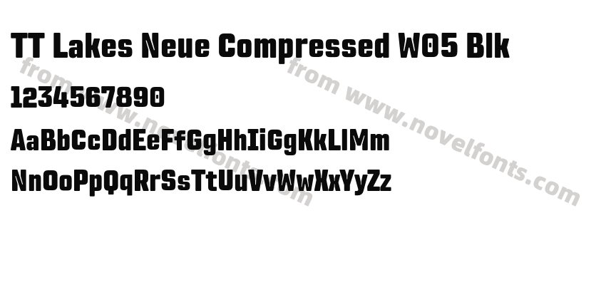 TT Lakes Neue Compressed W05 BlkPreview