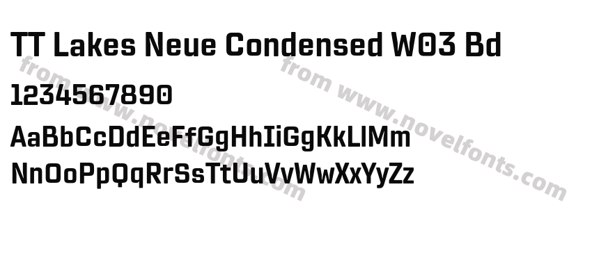 TT Lakes Neue Condensed W03 BdPreview