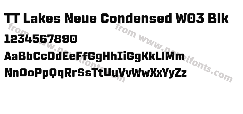 TT Lakes Neue Condensed W03 BlkPreview