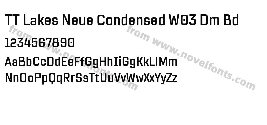 TT Lakes Neue Condensed W03 Dm BdPreview