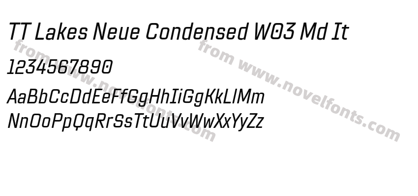 TT Lakes Neue Condensed W03 Md ItPreview