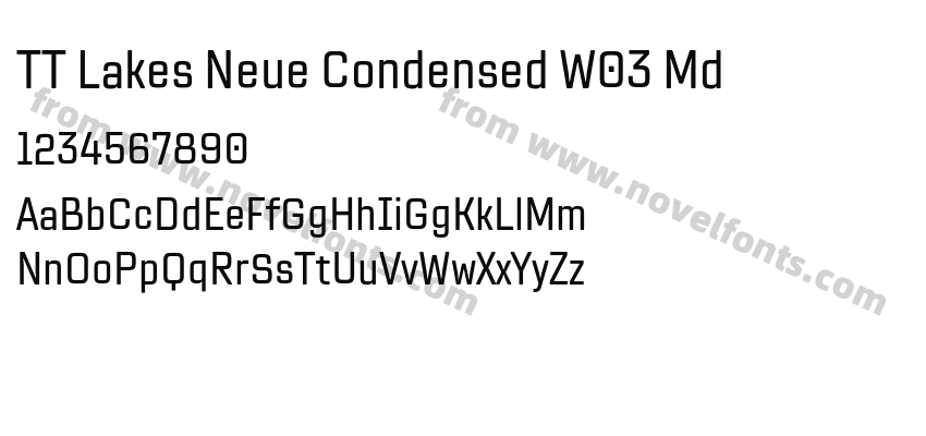 TT Lakes Neue Condensed W03 MdPreview