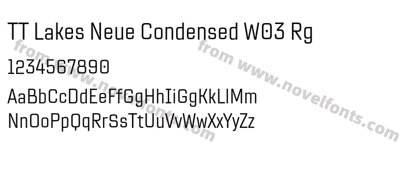 TT Lakes Neue Condensed W03 RgPreview