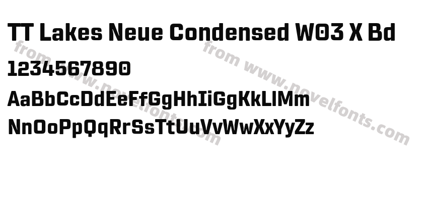 TT Lakes Neue Condensed W03 X BdPreview