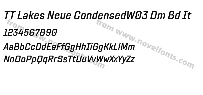 TT Lakes Neue CondensedW03 Dm Bd ItPreview