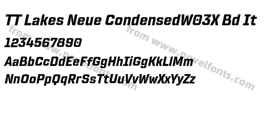 TT Lakes Neue CondensedW03X Bd ItPreview