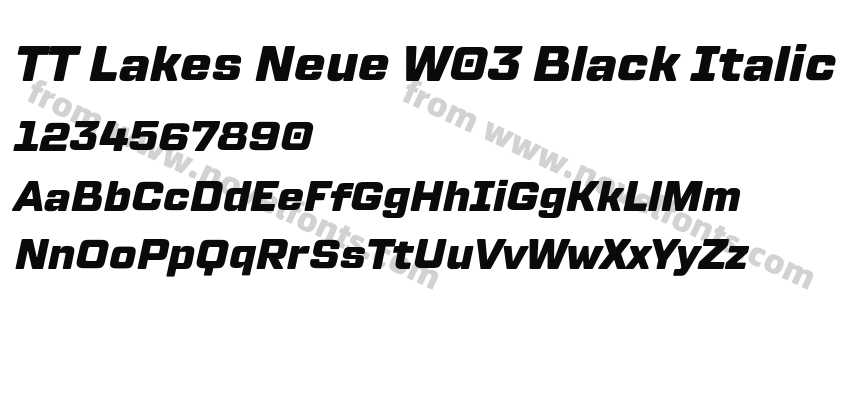 TT Lakes Neue W03 Black ItalicPreview