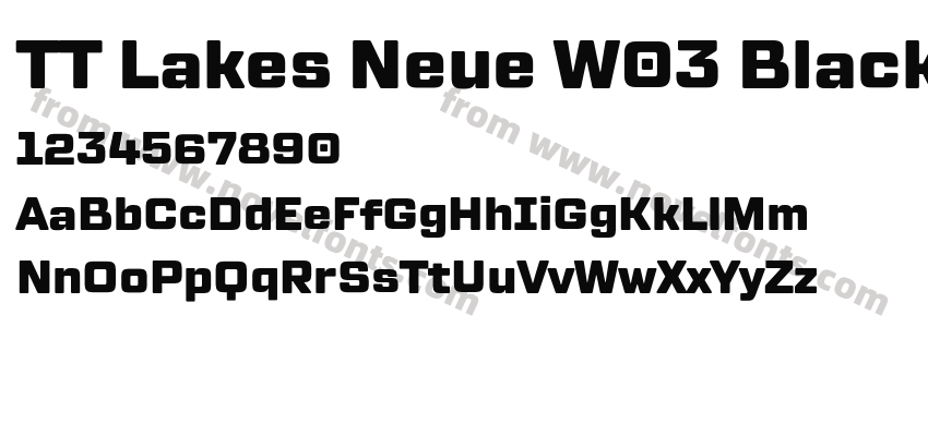 TT Lakes Neue W03 BlackPreview