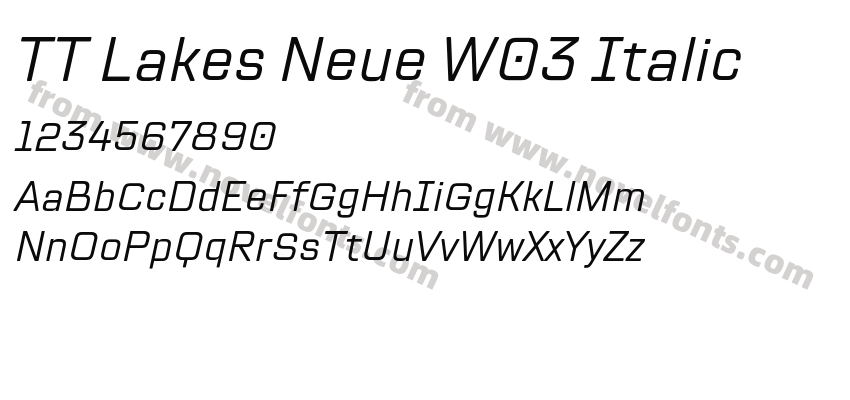 TT Lakes Neue W03 ItalicPreview