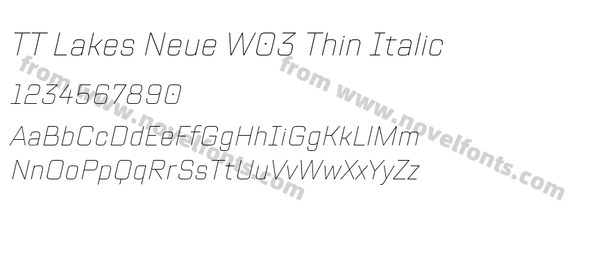 TT Lakes Neue W03 Thin ItalicPreview