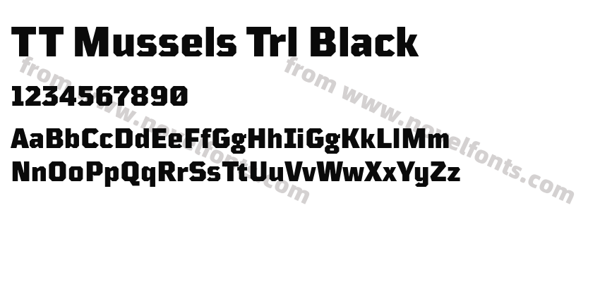 TT Mussels Trl BlackPreview