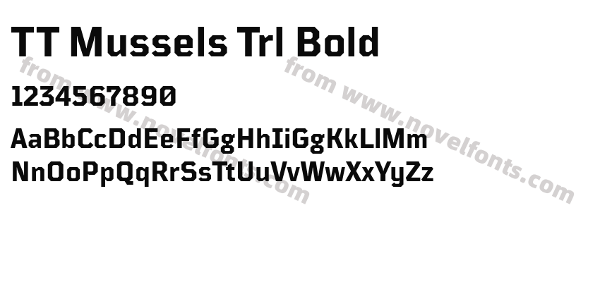 TT Mussels Trl BoldPreview