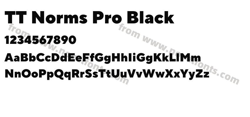 TT Norms Pro BlackPreview