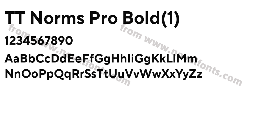 TT Norms Pro Bold(1)Preview