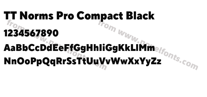 TT Norms Pro Compact BlackPreview