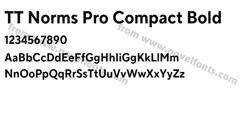 TT Norms Pro Compact BoldPreview