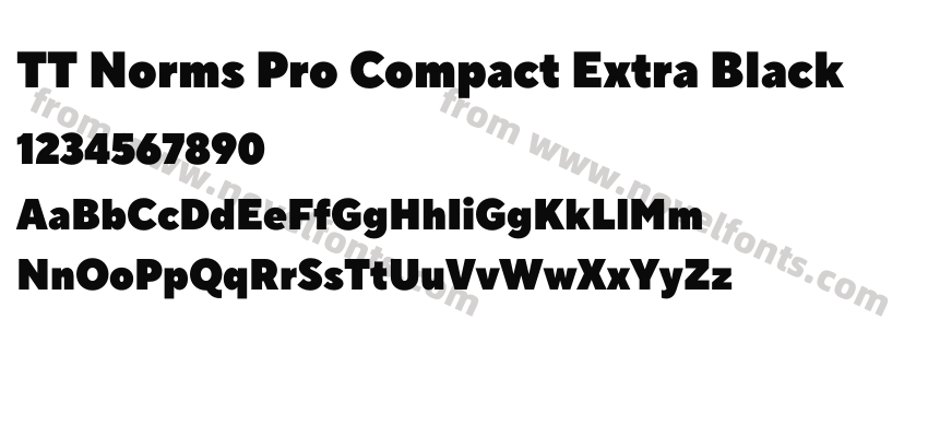 TT Norms Pro Compact Extra BlackPreview