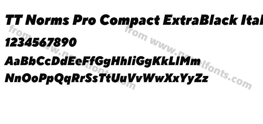 TT Norms Pro Compact ExtraBlack ItalicPreview