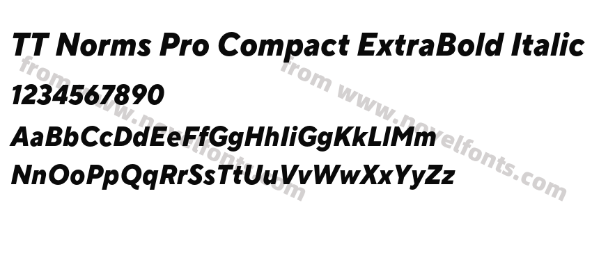 TT Norms Pro Compact ExtraBold ItalicPreview