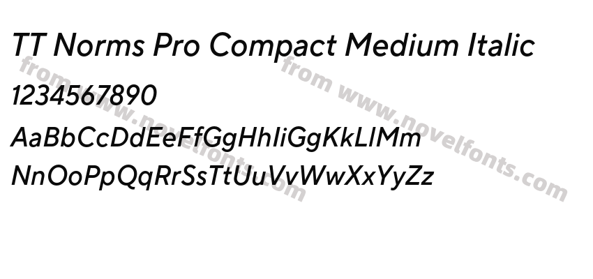 TT Norms Pro Compact Medium ItalicPreview