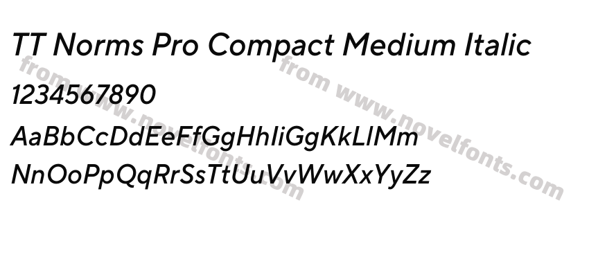 TT Norms Pro Compact Medium ItalicPreview