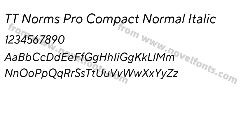 TT Norms Pro Compact Normal ItalicPreview