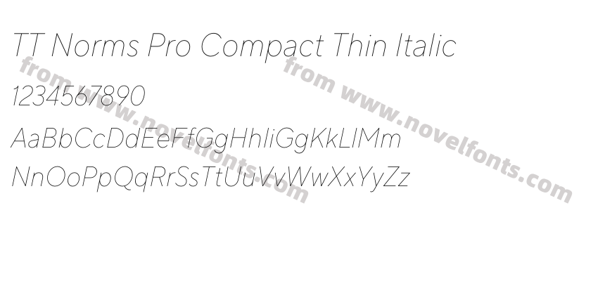 TT Norms Pro Compact Thin ItalicPreview