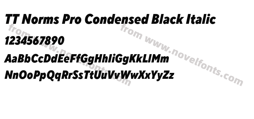 TT Norms Pro Condensed Black ItalicPreview
