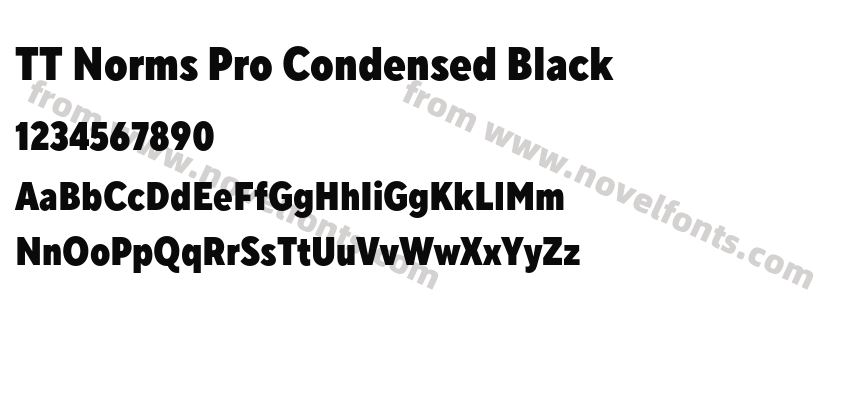 TT Norms Pro Condensed BlackPreview