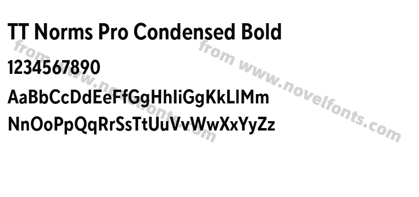 TT Norms Pro Condensed BoldPreview