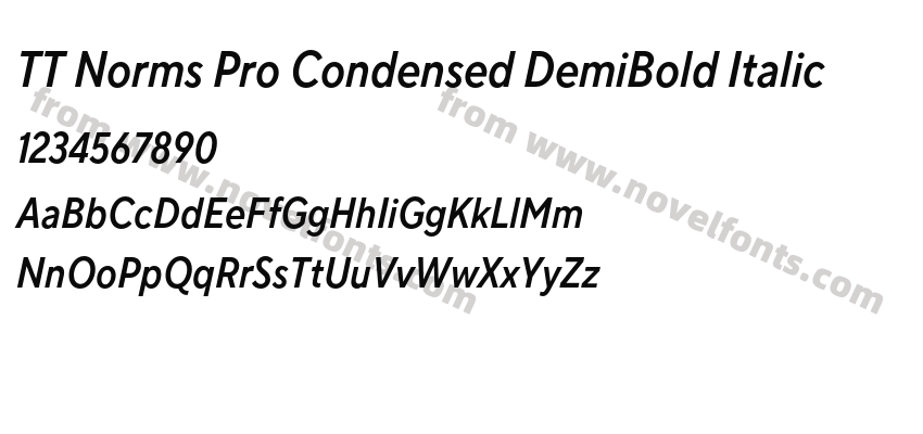 TT Norms Pro Condensed DemiBold ItalicPreview