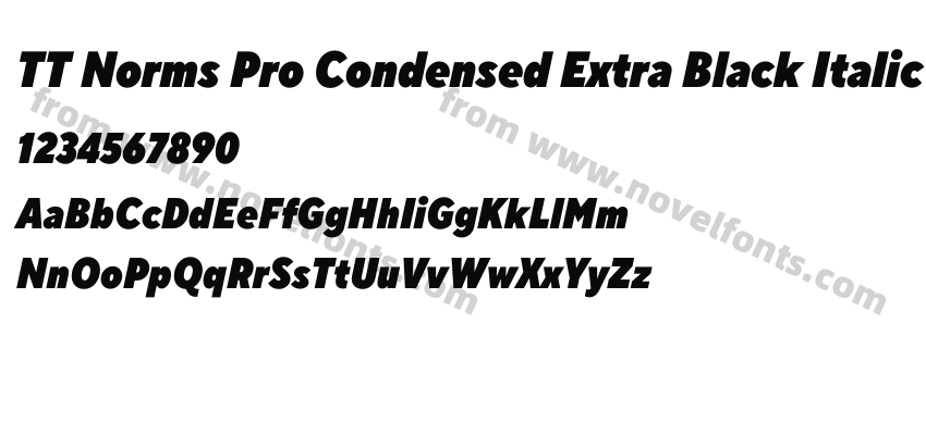 TT Norms Pro Condensed Extra Black ItalicPreview