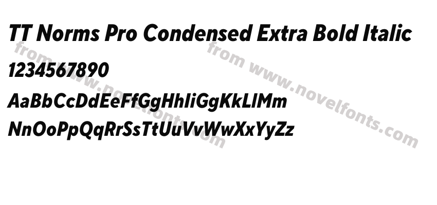 TT Norms Pro Condensed Extra Bold ItalicPreview