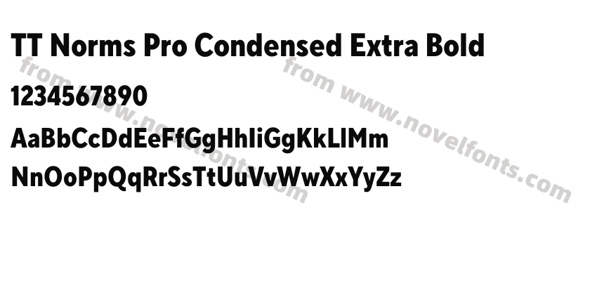 TT Norms Pro Condensed Extra BoldPreview